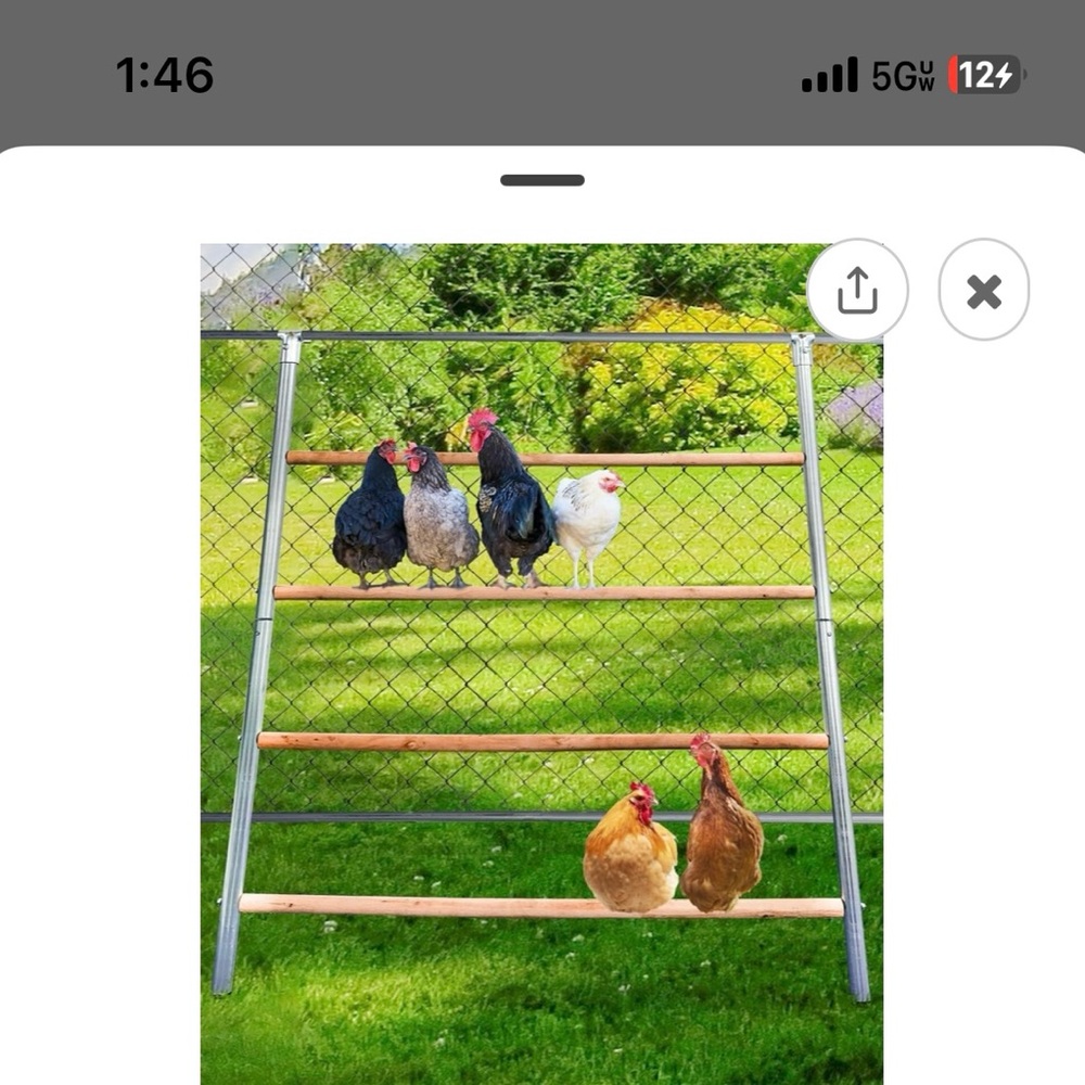 Chicken roost/ Perch/ ladder: brand new in box